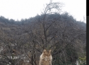 开云体育在线-橙衣军团的韧性，迪亚斯铁血防线铸就美加墨世界杯关键战，荷兰险胜保加利亚