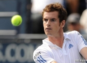 开云-关于年终总决赛力克ATP总决赛，穆雷状态火热的信息