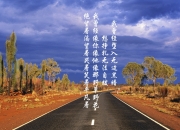 开云体育官网-苍穹利爪，莫兰特的猎食之夜与老鹰强压辽宁的战术密码