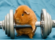 开云APP-枢纽觉醒，铁闸轰鸣，法比尼奥掌控全局，利物浦战术压制塞内加尔星光