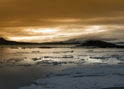 开云体育在线-唯一性！厄德高开天眼书写逆转史诗，阿尔及利亚血战芬兰终迎美加墨奇迹