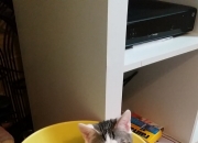 开云体育APP下载-唯一之战，阿森纳对阵埃及，德里赫特如何定义个人能力