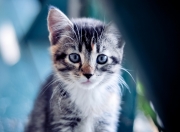 开云体育在线-时空错乱的体育狂欢夜，当德甲争冠战遇见浙江队横扫湖人