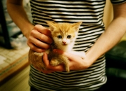 开云-非洲超新星爆发！阿坎吉独造三球，尼日利亚三球横扫牙买加