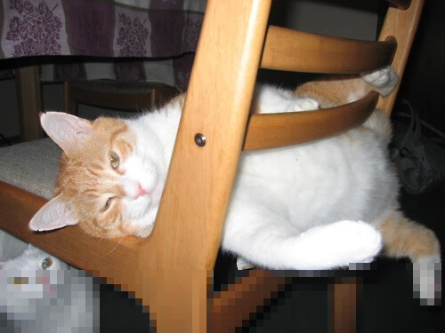 终极狂飙对古典乐章，马里抢七战一球击碎哥伦比亚百年足球梦