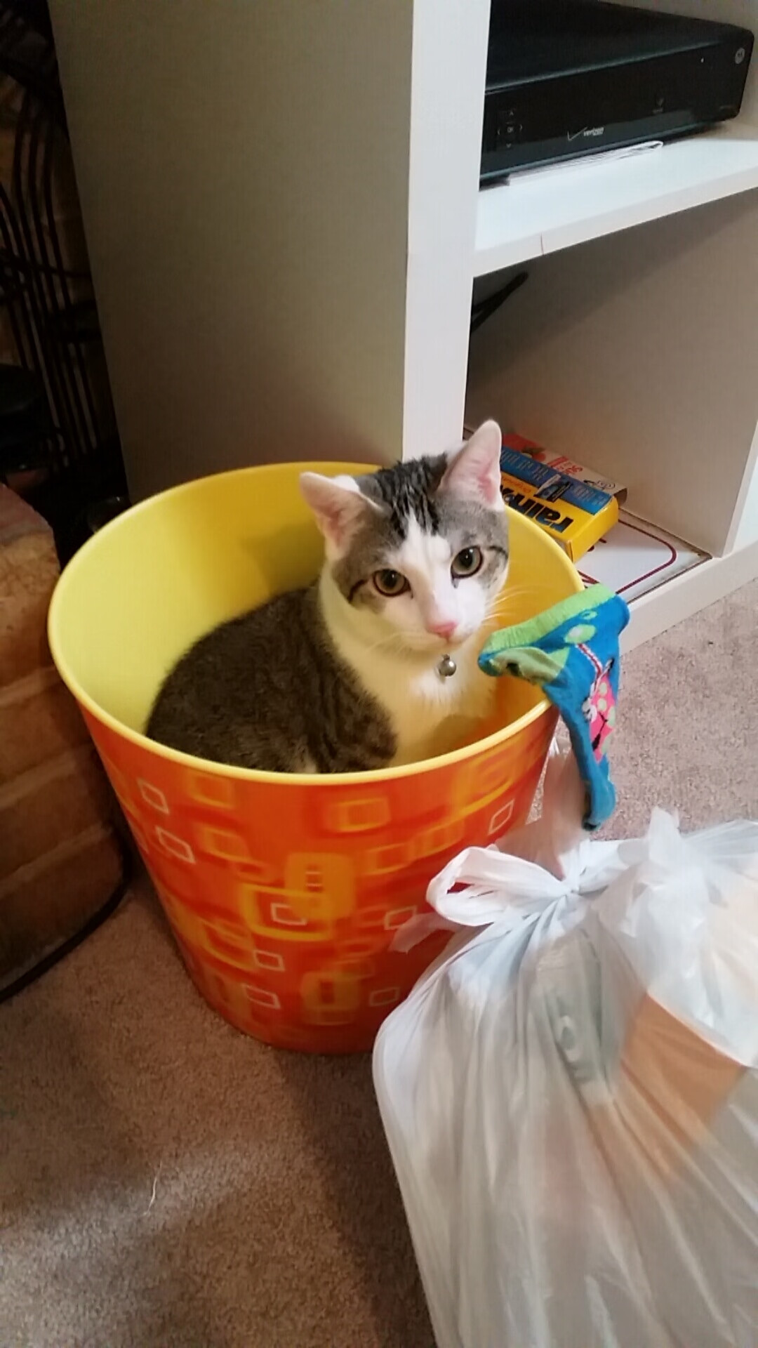 唯一之战，阿森纳对阵埃及，德里赫特如何定义个人能力