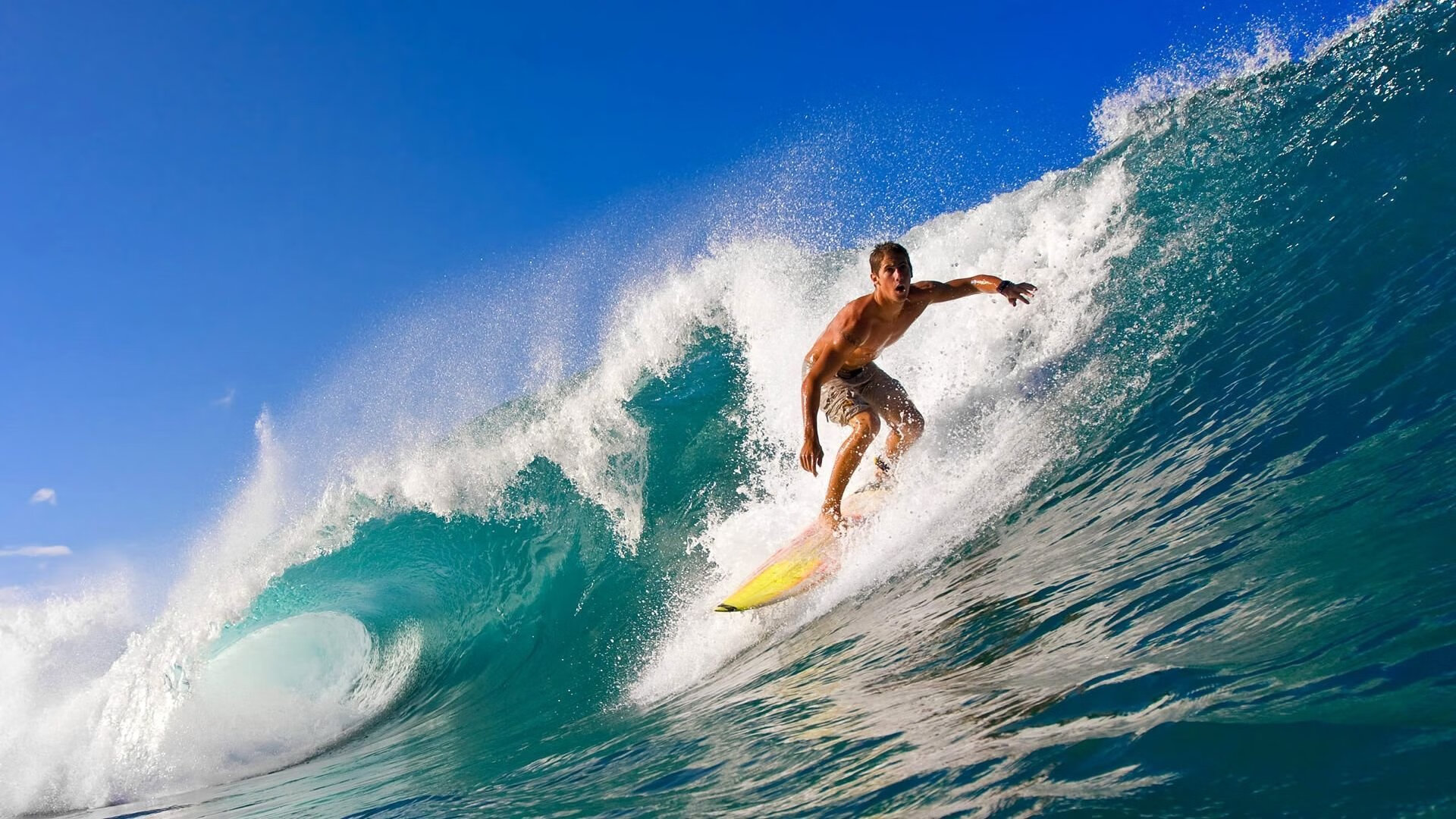 绿茵场上的征服者，当非洲雄狮遇上北非飓风
