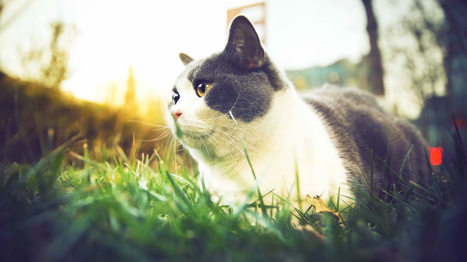 英格拉姆48分史诗夜，活塞窒息防守决胜时刻抢走马刺关键胜利