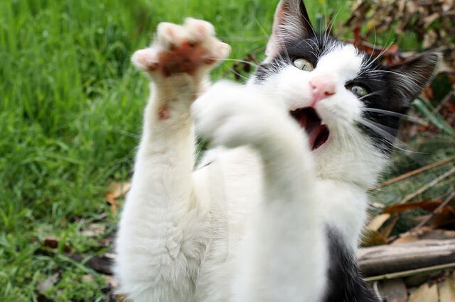 粉碎希腊黄昏的钢铁之魂，莫德里奇化身关键巫师，书写马德里夜战传奇