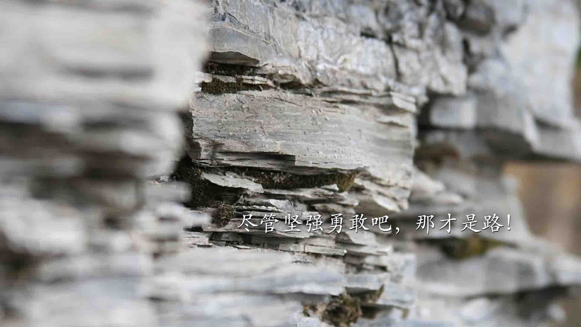 沙漠风暴与东欧铁骑,2026世界杯C组关键战,库尔图瓦神级指挥罗马尼亚逆转沙特