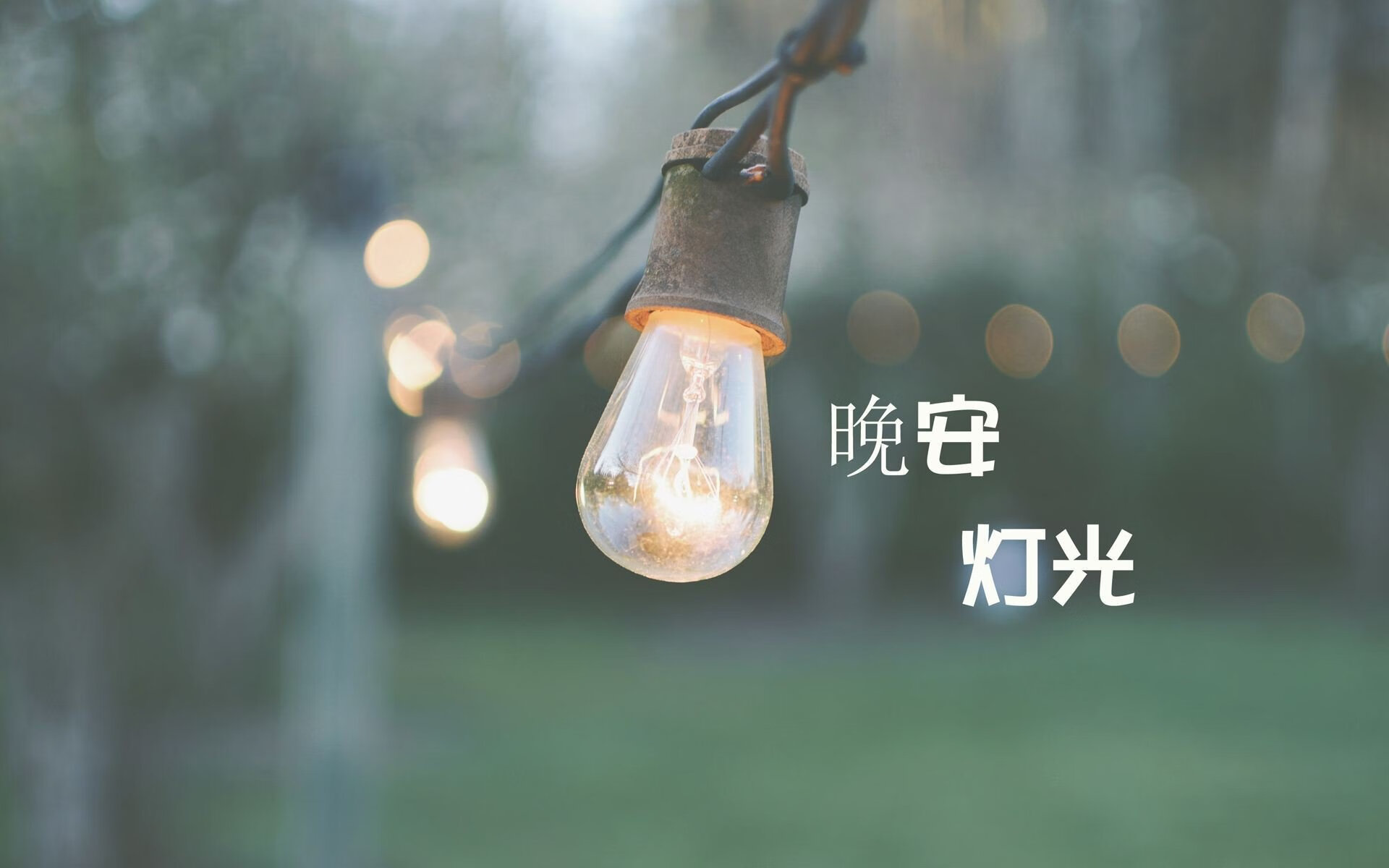 孤胆蓝衣,托纳利淬血铸神迹,葡萄牙伏虎韩国定乾坤—2026世界杯黑马之战临界点