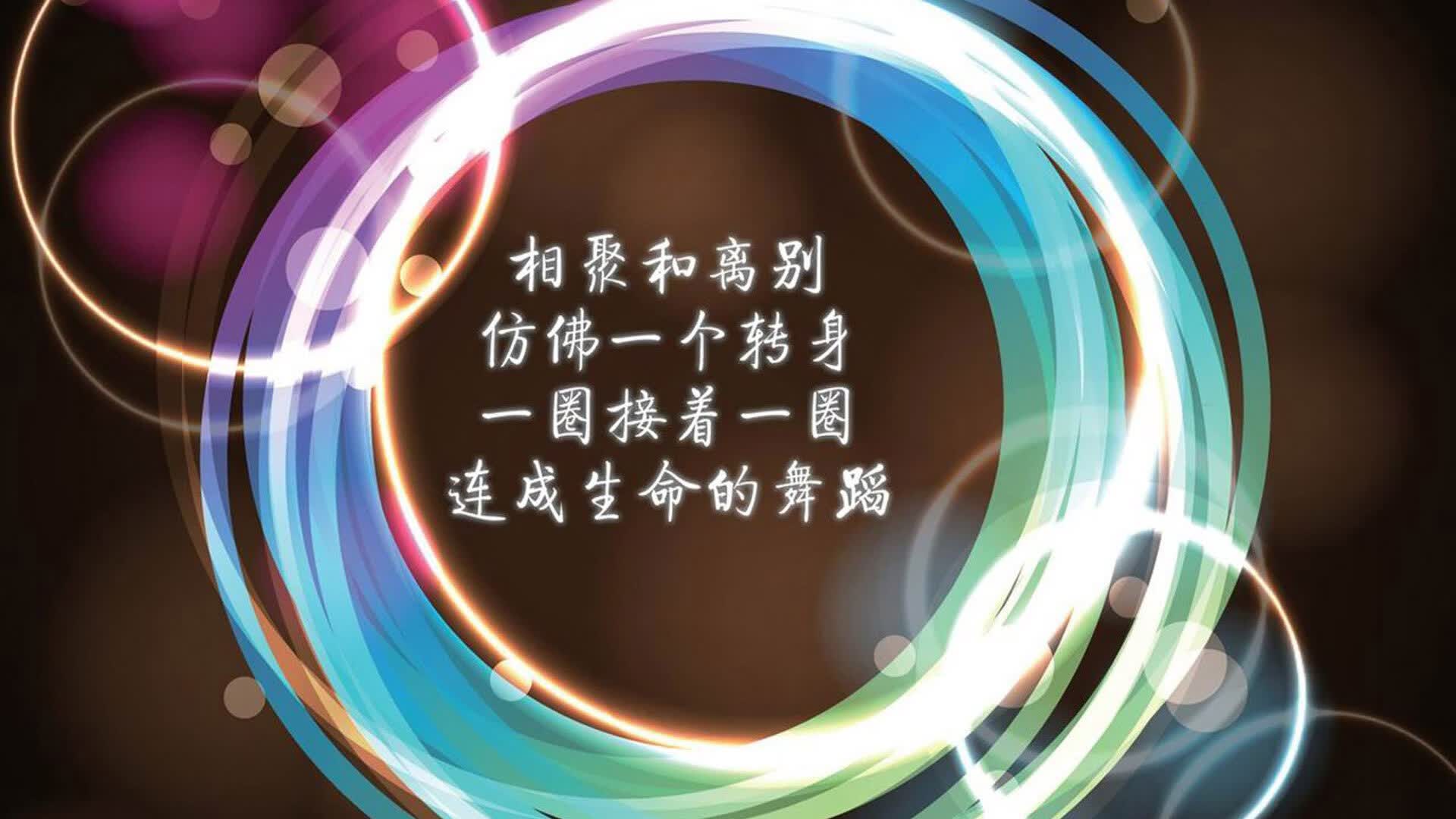 沙漠之狐与绿鹰的终极对决，2026世界杯生死战，内马尔璀璨星光下的突尼斯奇迹